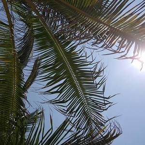 Meet your Posher, Jodie